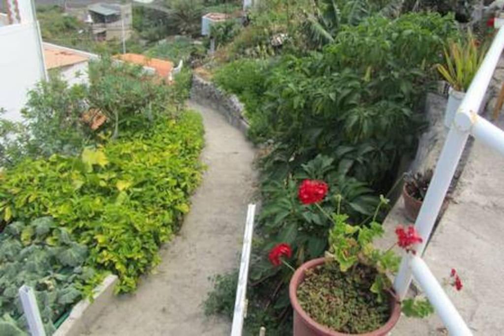 House Rural,Biosphere Reserve World.Taganana.Tfe. Санта-Крус-де-Тенерифе Экстерьер фото